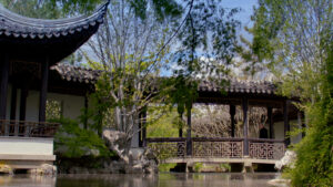 CTT2601_RLK at Temple on Bridge