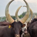 7df3818a-b40e-41ed-ae89-728f19d19b57