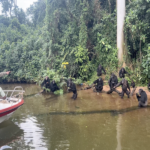 Uganda Chimpanzee Sanctuary
