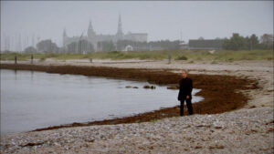 C2T1004 RLK on Beach_V2