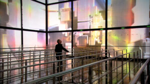 C2T1102 RLK in art exhibit